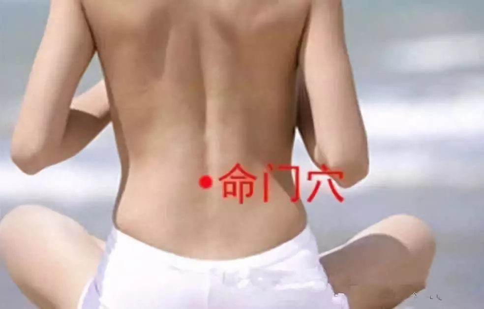 命门穴.png