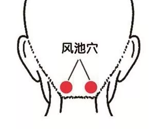 风池穴.png