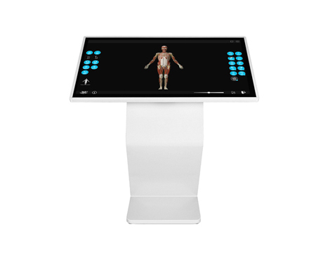 中医3D经络穴位解剖平台
