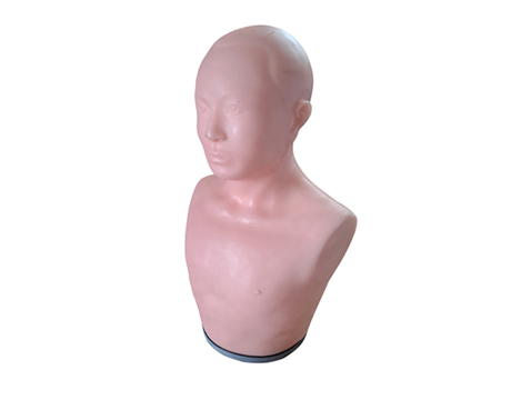 针刺训练头部模型